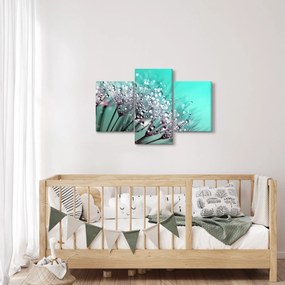 Obraz - orosená rastlina (90x60 cm)