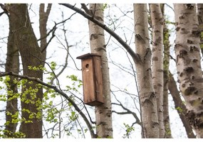 Drevená vtáčia búdka – Esschert Design