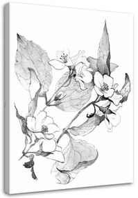 Obraz na plátně Květiny Černá Bílá Příroda - 70x100 cm