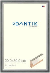DANTIK rám na obraz 20x30 | EVOQUE šedá (Sklo Čiré)
