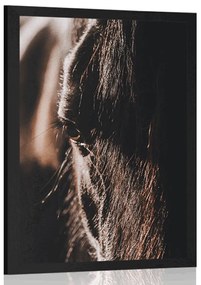 Plagát majestátny kôň - 40x60 silver