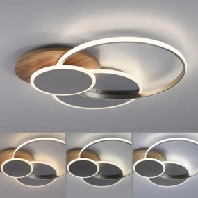 Paul Neuhaus 8328-79 - LED Stmievateľné stropné svietidlo PALMA LED/50W/230V + DO