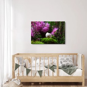 Obraz - Slimáková ulita (90x60 cm)