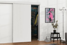Posuvné dvere MALIBU | 100 cm Farba: Biela