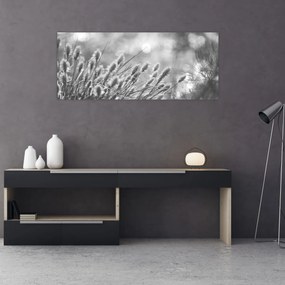 Obraz - Béžová soft grass N⁰1 (120x50 cm)
