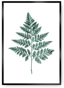 Plagát Fern 21 x 30 cm Emerald Green