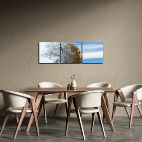Obraz - Zmena ročného obdobia (s hodinami) (90x30 cm)