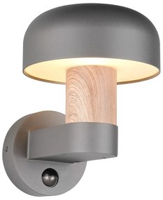 Nástenné vonkajšie svietidlo (výška 24,5 cm) Fraser – Trio