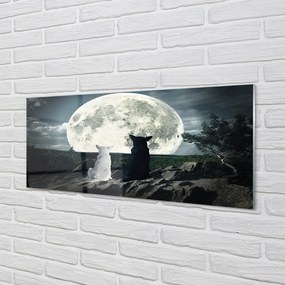 Obraz na akrylátovom skle Wolves mesiac lesné 120x60 cm