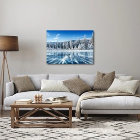 Obraz zamrznutého jazera a zasnežených stromov (70x50 cm)