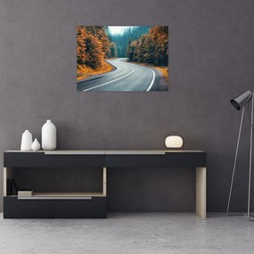 Sklenený obraz - Kľukatá cesta (70x50 cm)