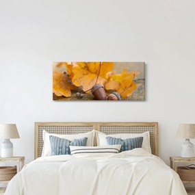 Obraz - Jesenné žalude (120x50 cm)