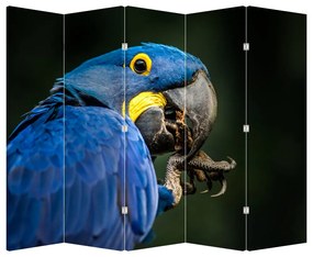 Paraván - Papagáj (210x170 cm)
