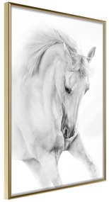 Artgeist Plagát - White Horse [Poster] Veľkosť: 30x45, Verzia: Zlatý rám