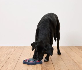 Inteligenčná hračka pre psov