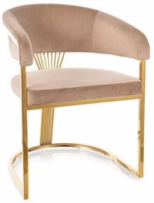 Jedálenská stolička Crown Velvet béžová/zlatá