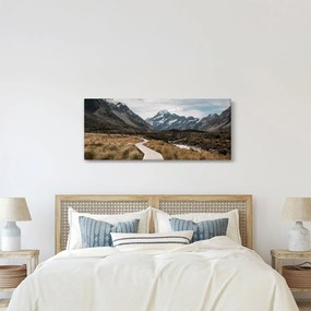 Obraz - Chodník v údolí hory Mt. Cook (120x50 cm)