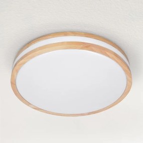 Brilagi - LED Stmievateľné stropné svietidlo MOLINA LED/48W/230V 3000-6500K + DO