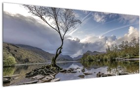 Obraz rieky za stromom (120x50 cm)