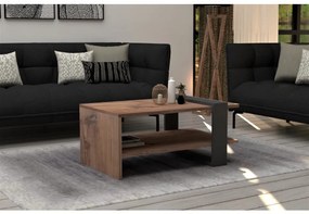 Konferenčný stolík OVA 35x80 cm hnedá/antracit