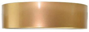 TEMAR Prisadené nástenné / stropné osvetlenie CLEO, 1xE27, 60W, 20cm, okrúhle, zlaté