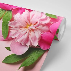 Samolepiaca fototapeta ružové kvety pivónie