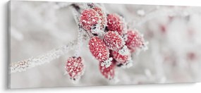 Obraz - Zamrznuté plody (120x50 cm)