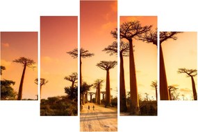 Obraz - Západ slnka v uličke Baobab (150x105 cm)