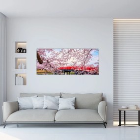 Obraz - Hirosaki, Japonsko (120x50 cm)