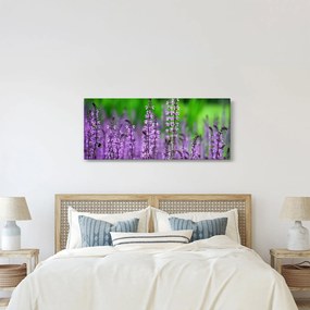 Obraz fialových lúčnych kvetov (120x50 cm)