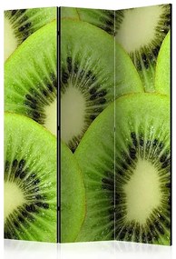 Paraván - Kiwi slices [Room Dividers]