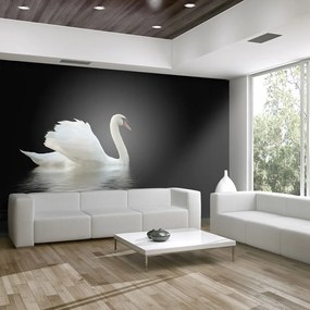 Artgeist Fototapeta - swan (black and white) Veľkosť: 200x154, Verzia: Standard