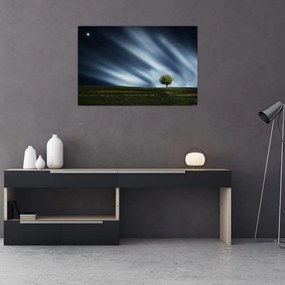 Obraz polárna žiara nad vresoviskom (90x60 cm)