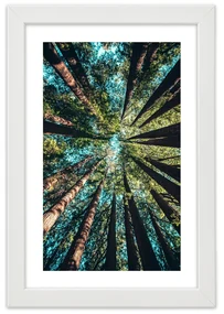 Gario Plagát Konáre vysokých stromov Farba rámu: Bez rámu, Rozmery: 60 x 90 cm