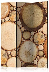 Artgeist Paraván - Wood grains [Room Dividers]