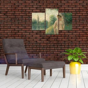 Obraz - Camille Pissarro, The Bather, reprodukcia (90x60 cm)