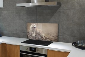 Nástenný panel  vlk hory 120x60 cm