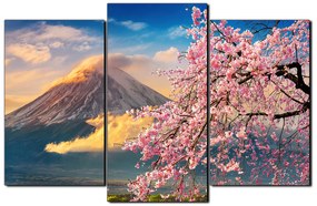 Obraz na plátne - Hora Fuji a čerešňové kvety na jar 1266C (105x70 cm)