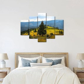 Obraz - Horská lúka (150x105 cm)
