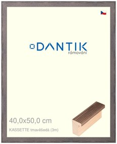 DANTIK rám na obraz 40x50 | KASSETTE tmavěšedá (Sklo Čiré)