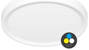 Ecolite W007-CCT/50W/BI - LED Stropné svietidlo SALY LED/50W/230V IP40 biela