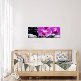 Obraz - Orchidey (s hodinami) (90x30 cm)