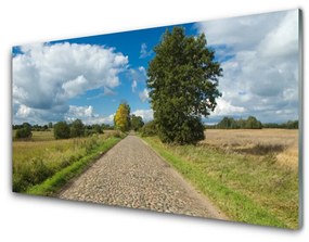 Obraz na skle Dedina cesta dlažba krajina 120x60 cm