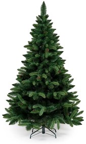 Borovica so šiškami- 160 cm