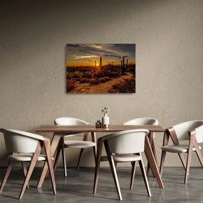 Sklenený obraz - Koniec dňa v arizonskej púšti (70x50 cm)