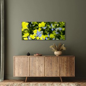 Obraz - javorové listy (120x50 cm)