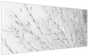 Obraz - Pampas grass N⁰2 (120x50 cm)
