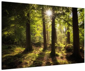 Obraz snového lesa (90x60 cm)