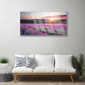 Skleneny obraz Levanduľa pole lúka západ 120x60 cm