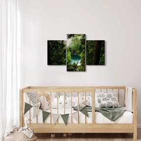 Obraz - Priezor medzi stromami (90x60 cm)